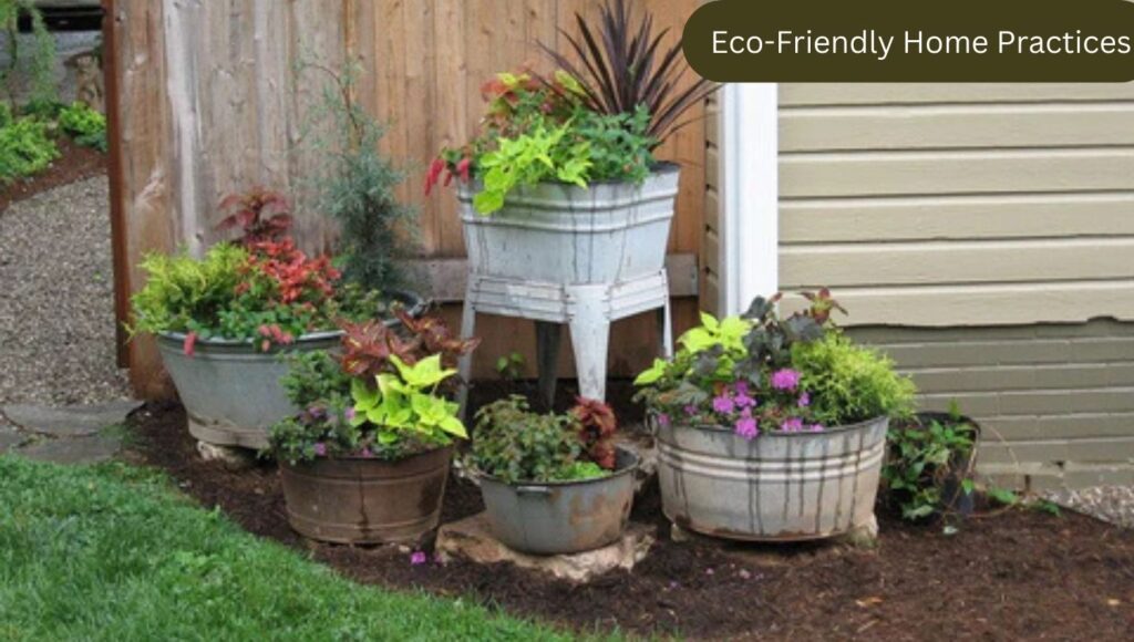 Eco-Friendly Home Practices