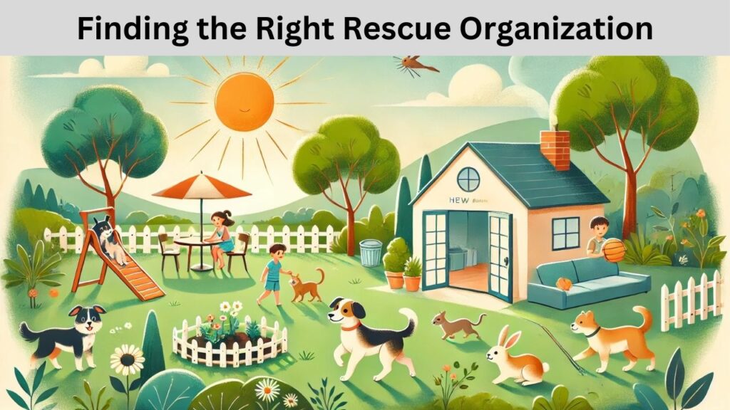 Finding the Right Rescue Organization